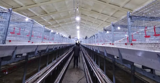 養(yǎng)鴨場(chǎng)老板：熱泵供暖溫度高，費(fèi)用比燒煤還省！